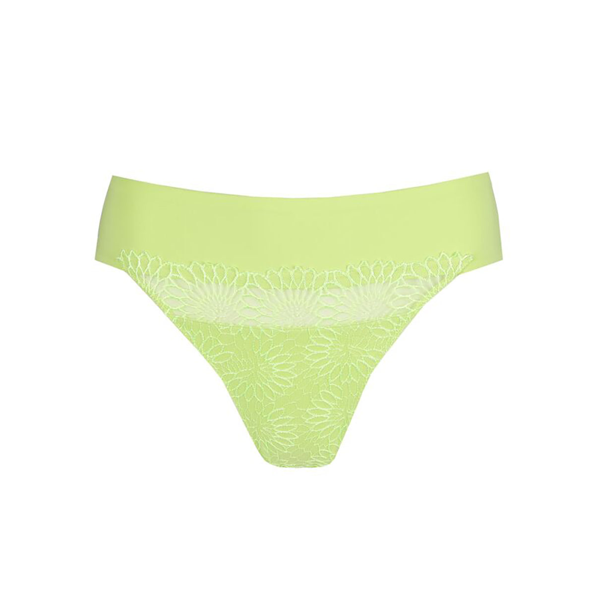 PrimaDonna Sophora - Lime Crush - 0663181-LIU